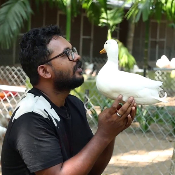 duck farming kerala