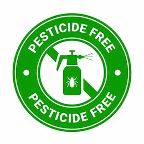 pesticide free organic