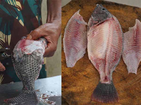 Packed boneless tilapia fillets ready for sale
