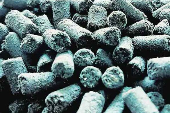 This is a Unique Product for Farmers! Claybiom Biopellets Act Like a Protective Layer to Save Soil Microorganisms