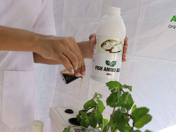 fish amino acid application