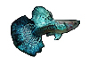 Green Platinum Black Dragon