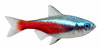 Small Tetras