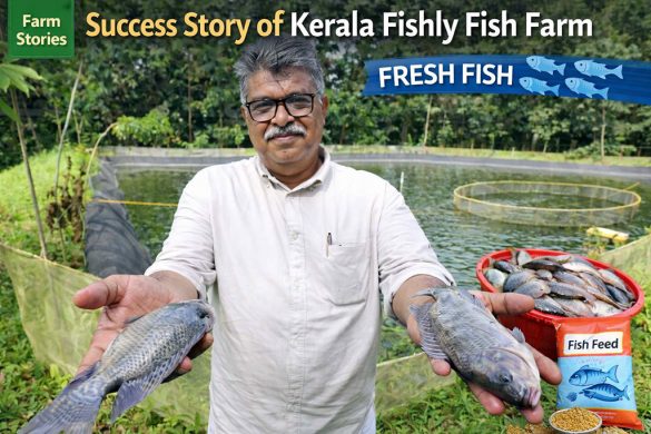Success Story of Fishly Fish Farm: Profitable Tilapia Farming in Kerala’s High Ranges