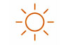 Initially, keep bulbs in partial shade. After shoots appear, move them to a spot with 4–5 hours of direct sunlight daily.
