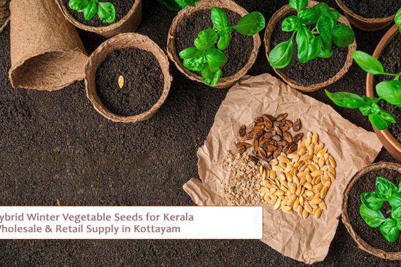 Hybrid Winter Vegetable Seeds for Kerala – Wholesale & Retail Supply in Kottayam