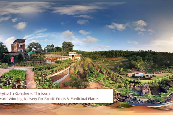 Rayirath Gardens Thrissur – Award-Winning Nursery for Medicinal Plants