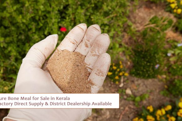 Pure Bone Meal for Sale in Kerala – Factory Direct Supply & District Dealership Available