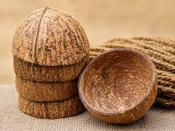 Coconut shell structure showing thickness and hardness