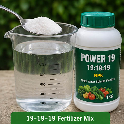 Spraying liquid fertilizer on vegetable plant leaves