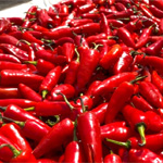 Chilli