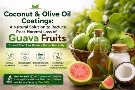 How to Keep Guavas Fresh for 12 Days Using Only Coconut Oil (No Fridge Needed)