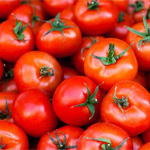 Tomato