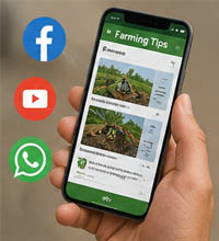 Use Social Media Smartly
