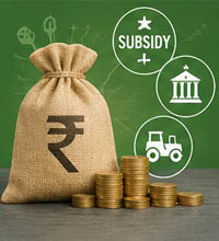 Utilize Government Schemes and Subsidies