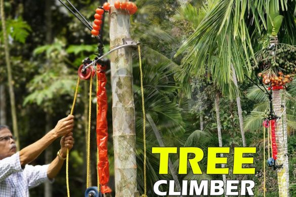 Wonder Climber: Easy Areca Nut Harvesting & Spraying Machine for Farmers