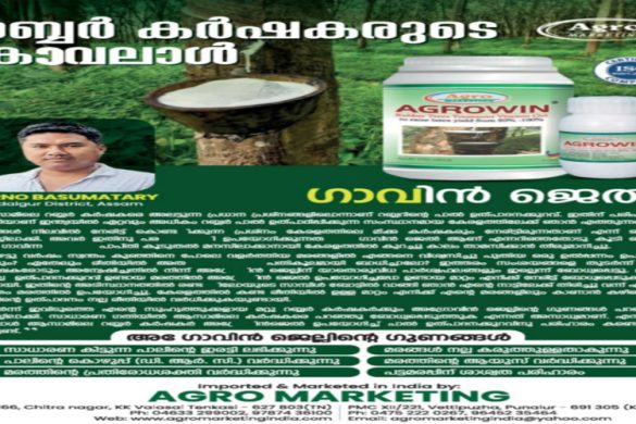 Agrowin Gel: Boost Rubber Yields and Tree Health in Assam