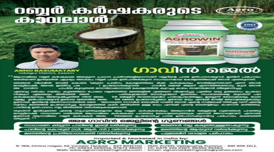 Agrowin Gel applied on rubber tree for increased latex yield