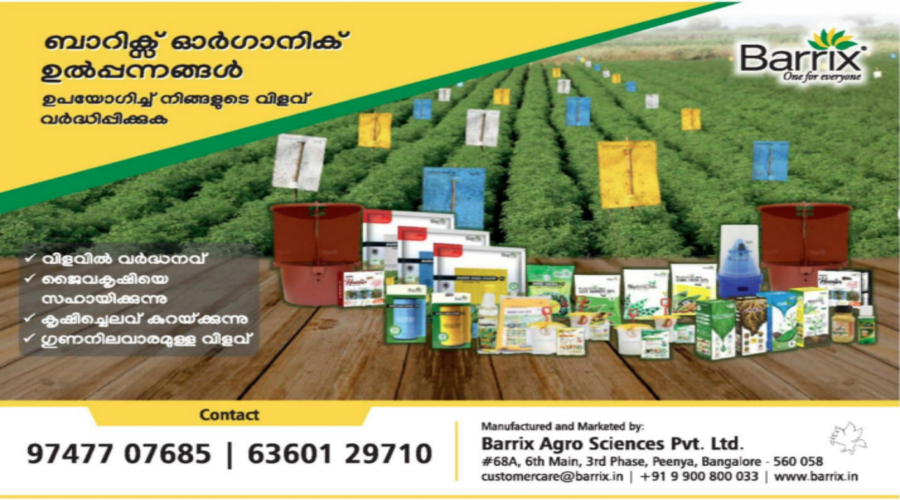 Barrix Organic product packaging and agricultural field