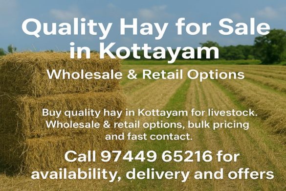 Quality Hay for Sale in Kottayam – Wholesale & Retail Options