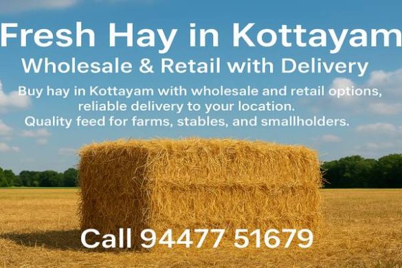 Fresh Hay in Kottayam – Wholesale & Retail with Delivery