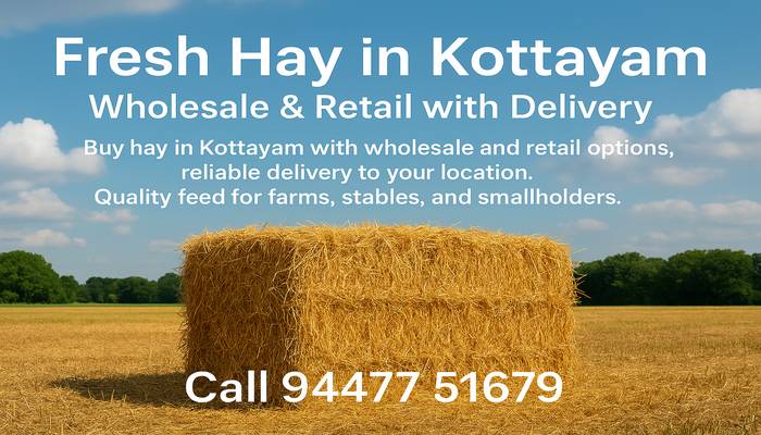 Bales of hay for sale in Kottayam wholesale and retail