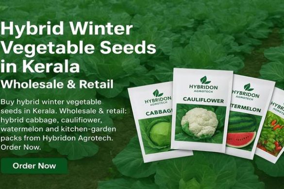 Hybrid Winter Vegetable Seeds in Kerala — Wholesale & Retail from Hybridon Agrotech