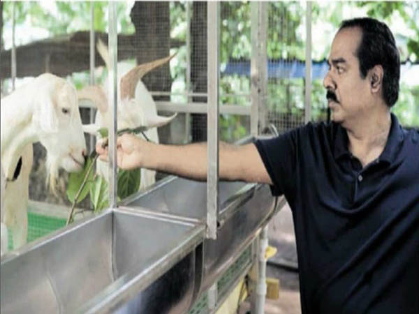 Jose Madappilly with Saanen goats at his farm in Chalakudy Kerala