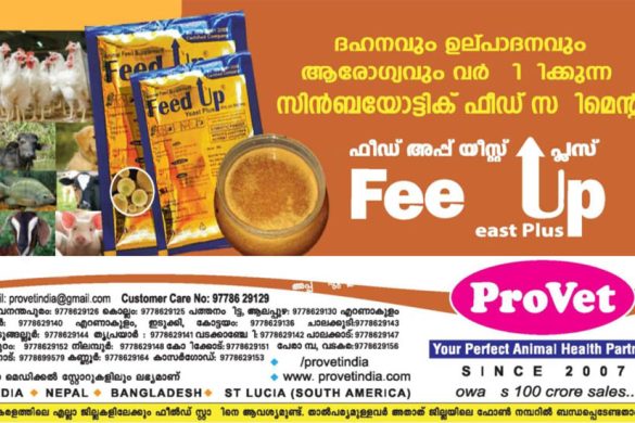 Feed Up Yeast Plus: Probiotic Feed Supplement for Better Digestion, Animal Health & Farm Odor Control