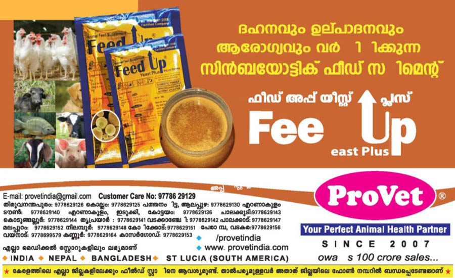 provet-feed up feast plus