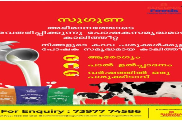 Suguna Feeds: Nutritious Cattle Feed for Better Milk & Health