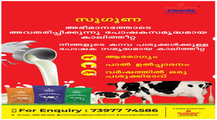 Packaged cattle feed bags from Suguna Feeds NUTRIBEST MILKYBEST DAIRYBEST