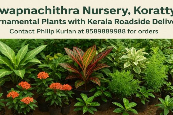 Swapnachithra Nursery, Koratty – Ornamental Plants with Kerala Roadside Delivery