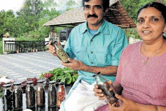 On the Banks of Poovaranthodu: The Couple Who Chose Farming and Farm Tourism After Leaving Their Jobs