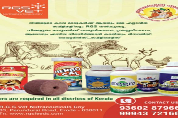 RGS Vet Nutraceuticals: Trusted Livestock Supplements & Dealers in Kerala