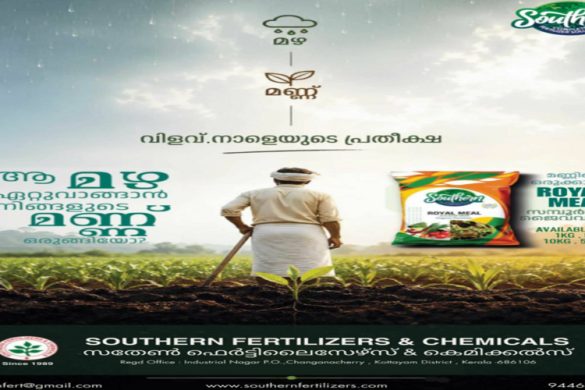 Royal Meal – Complete Organic Fertilizer for Healthy Soil and Better Yield