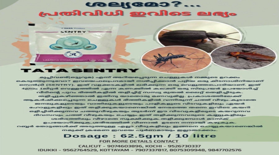 Tata Sentry powder mixed for wall spray to control midges and mosquitoes