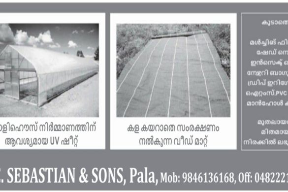 Quality Farm Supplies in Pala: Mulching Film, Shade Nets & Drip Irrigation