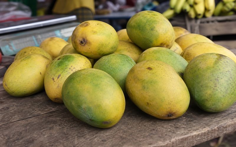 Carbide ripened mangoes showing uneven color with green and yellow patches