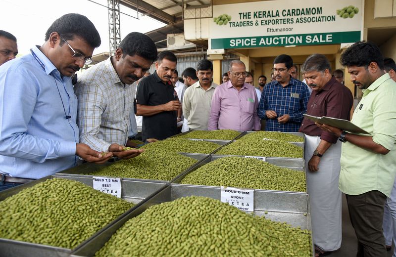 Indian cardamom auction with strong international demand and prices above 2500 rupees per kilo