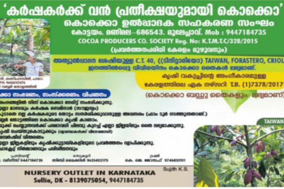 Cocoa Producers Co-operative Society: Certified Cocoa Saplings & Farming Support in Kerala