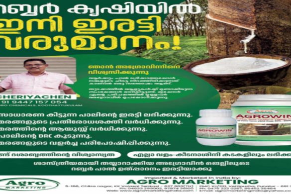Double Your Rubber Yield: Agrowin Gel for Healthier Rubber Trees
