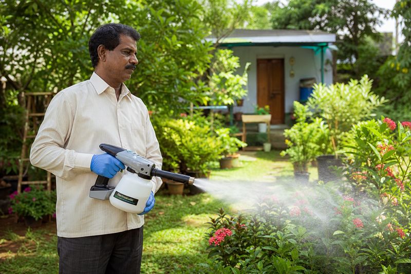 Handheld electrostatic air assisted sprayer used for pesticide spraying on flowering plants in a home yard