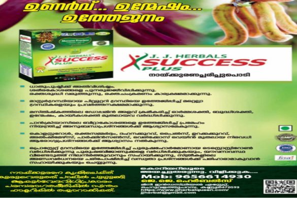 J.J. Herbals Success Plus – Mucuna Pruriens Powder for Energy, Wellness & Vitality