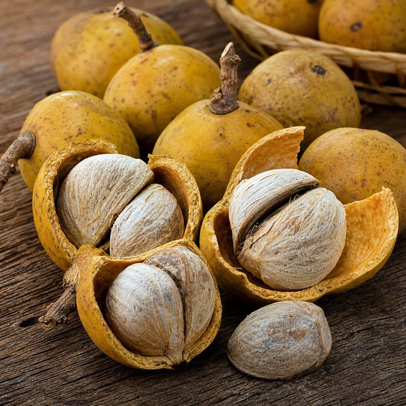 Honey yellow Kanjiram fruits and dried poison nut seeds traditionally collected for sale