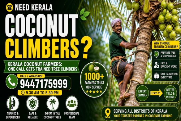 Kerala Coconut Farmers: One Call Gets Trained Tree Climbers