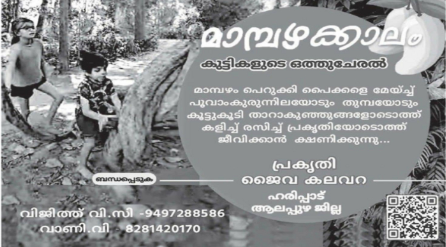 Prakriti Jaiva Kalavara: Mango Season Children’s Farm Experience in Haripad, Alappuzha