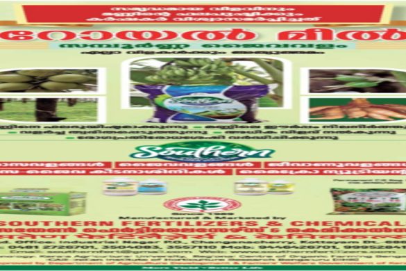 Royal Meal Complete Organic Fertilizer – Trusted by Farmers Since 1989