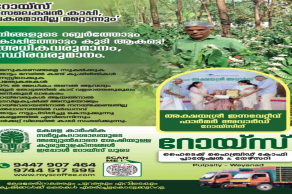 Roy’s Hi-Tech Hybrid Coffee Plantation & Nursery – Pulpally, Wayanad