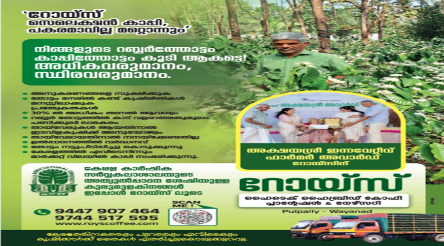 Roy's Hi-Tech Coffee Plantation and Nursery in Pulpally Wayanad Kerala